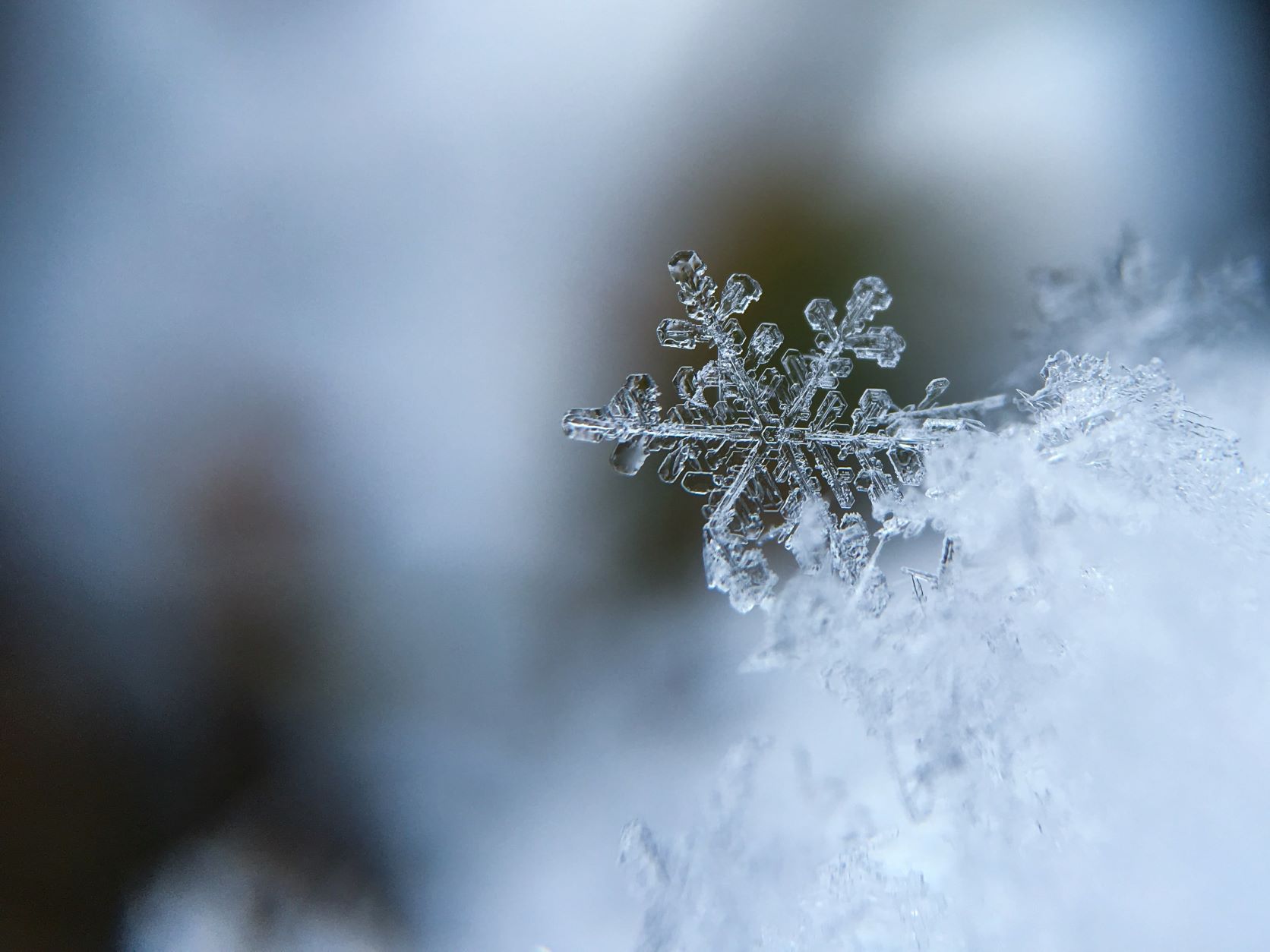 Close-up snowflake on a blurred background. By Aaron Burden for Unsplash.