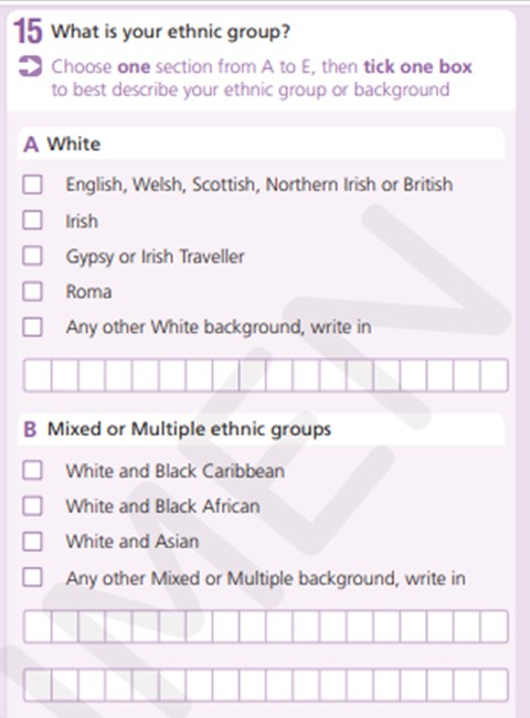 Example of ethnic group questions - A and B
