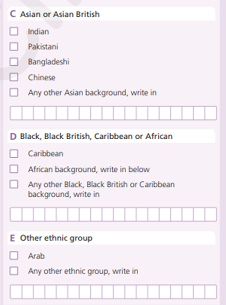 Example of ethnic group questions - C, D and E