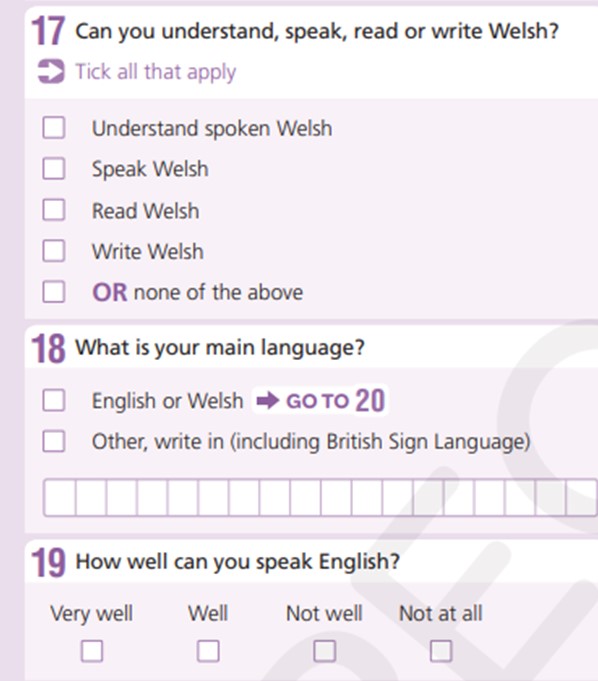 Example of language questions in Wales